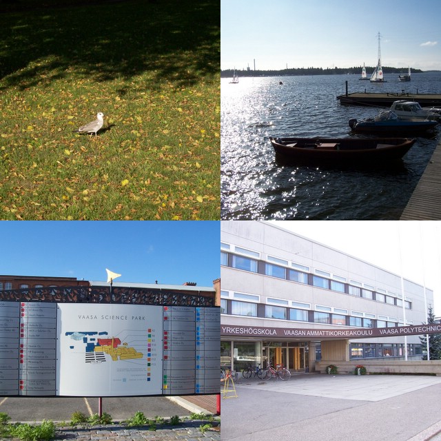 The Polytechnic, the University and the bay
